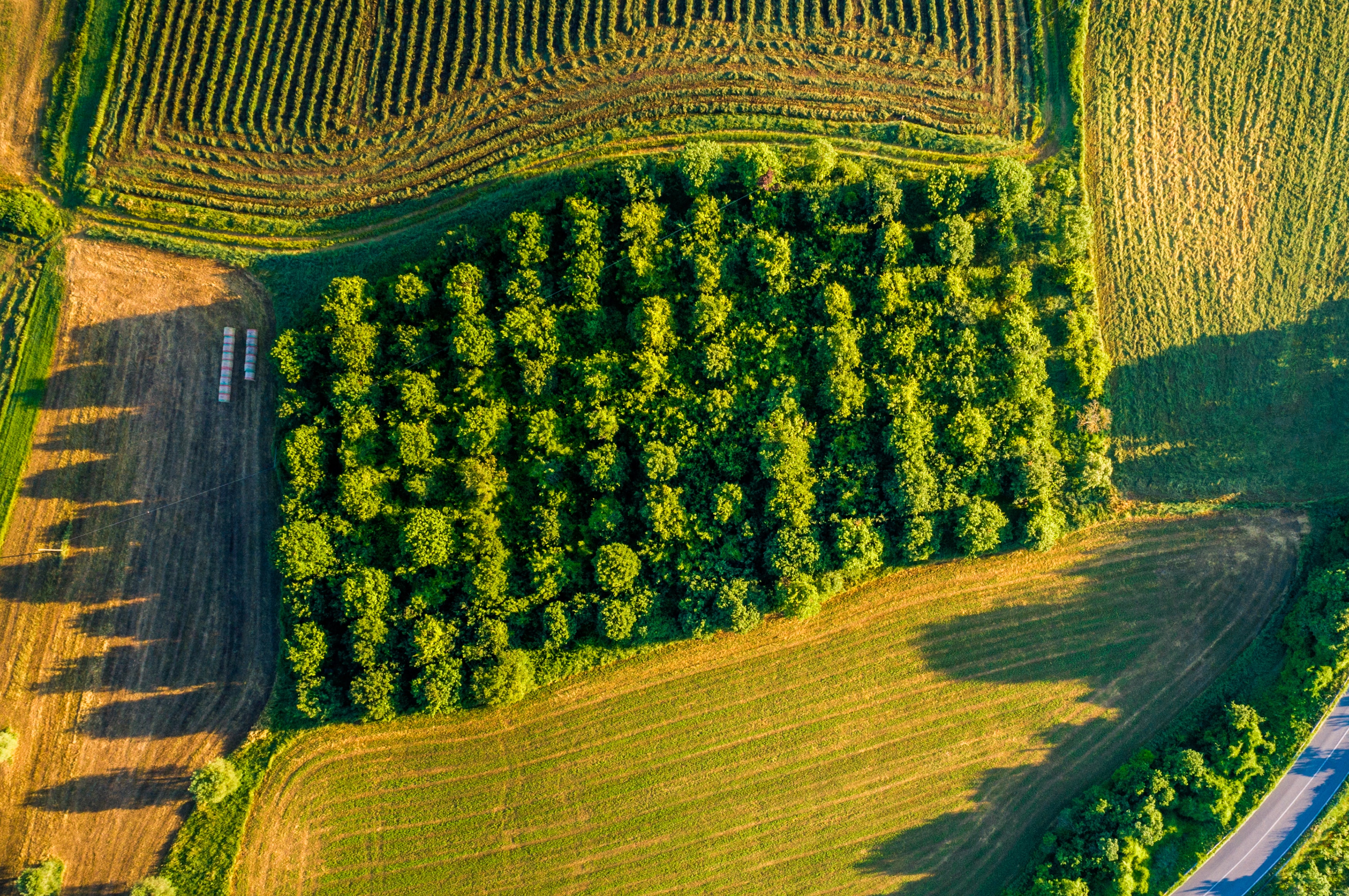 Land Lots or Parcel